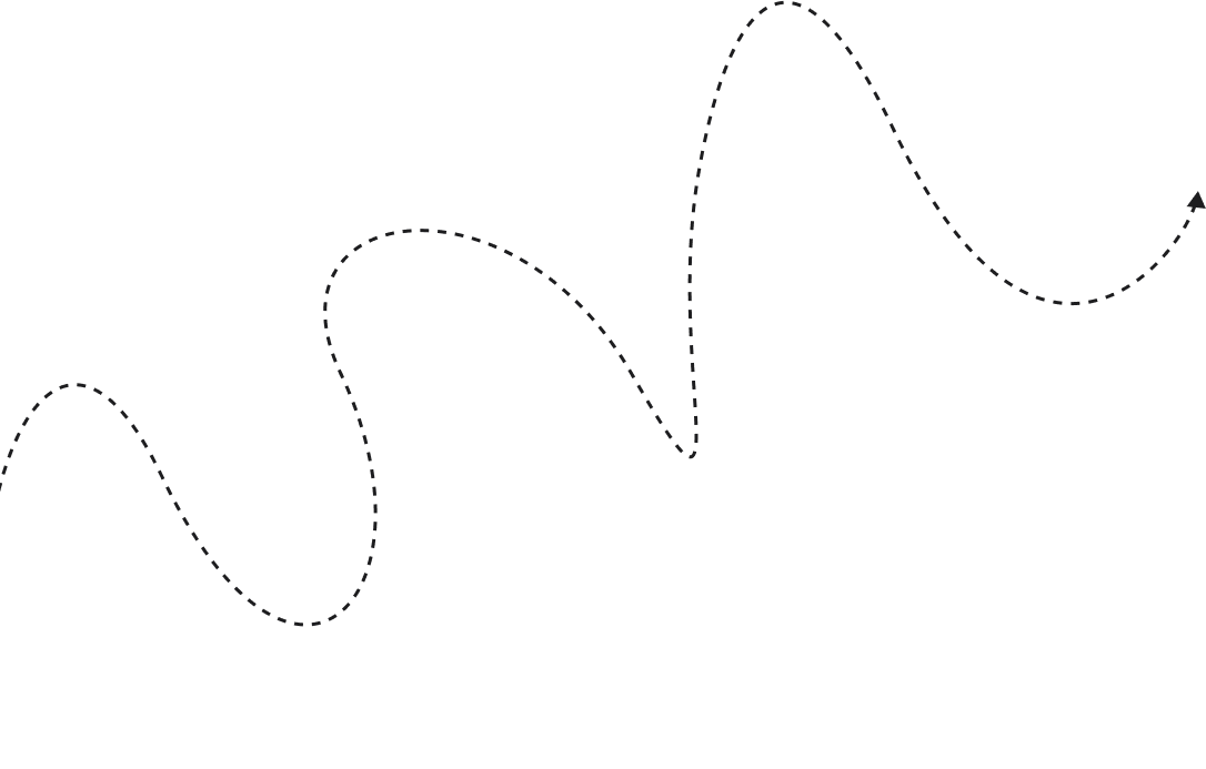 Geographic outline icon